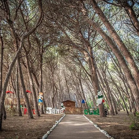 Village فندق 4*